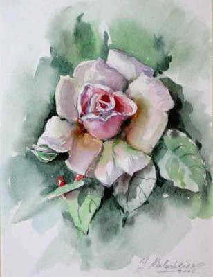 White Rose. Malashkina Irina
