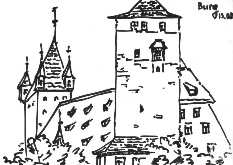 Bychenko Tatiana. Nuremberg Castle