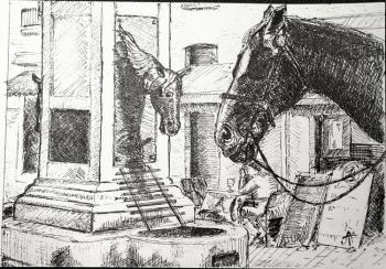 horse drink in and out. Trefilov Anton