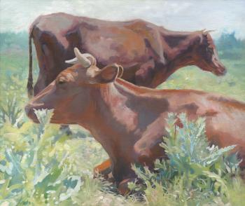 Two Cows. Chernov Denis
