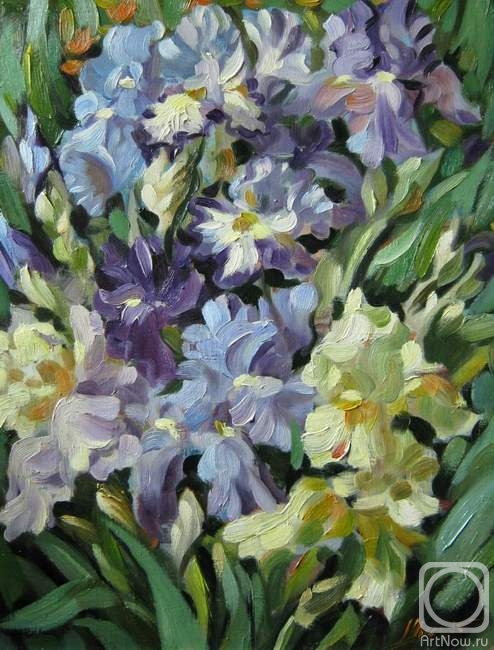 ������� ������ �� ������. ������ �������. �����