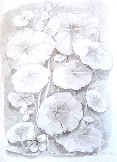 �������. ���������� �����. ���������