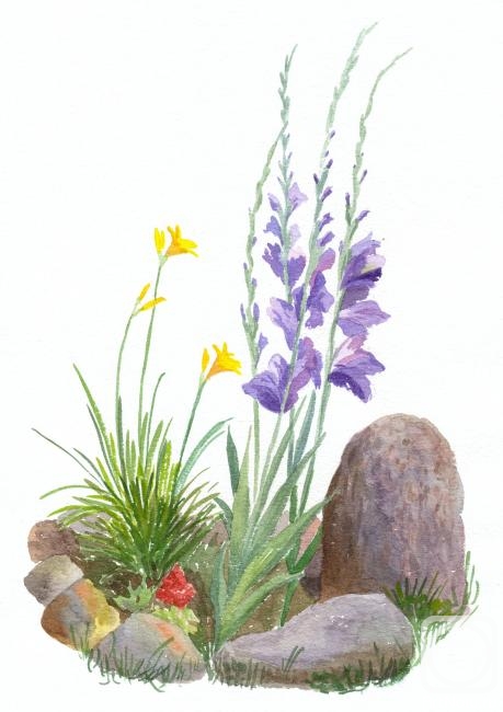 �������. ��������� ����. ������ � ������������