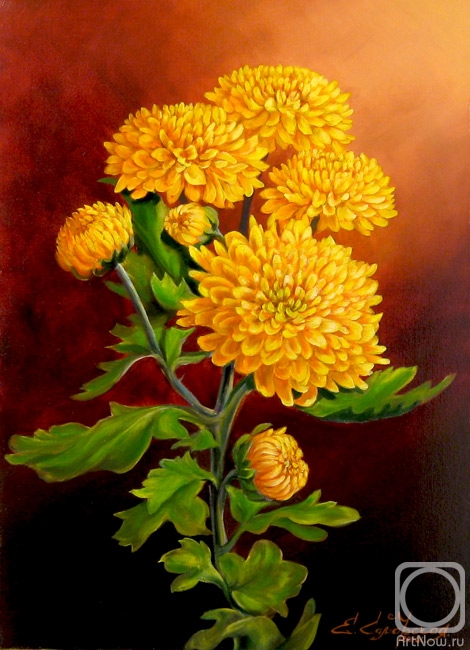 ������� ������ �� ������. ��������� �����. ����� ������ ���������