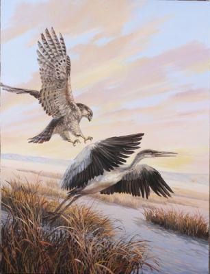 Falcon and Heron