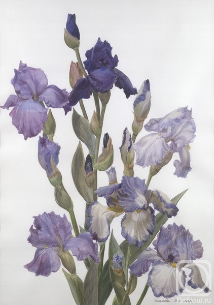 �������. ��������� ��������. ������������ �����