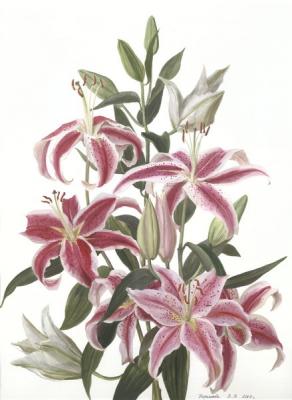 ������� ��������� �����