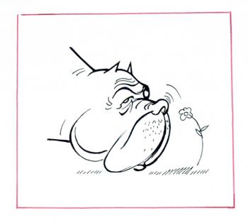 �ollection - �Graphics � 4� -39/96