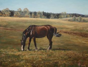 ������. �������� �����