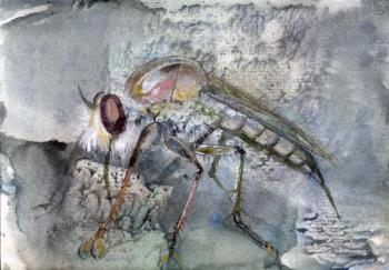 ������� ��������