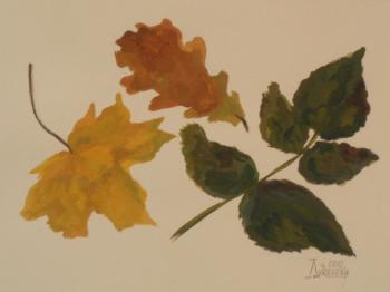 Study with dry leaves (2)