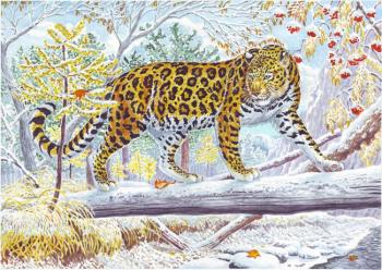 East-Siberian Leopard. Fomin Nikolay