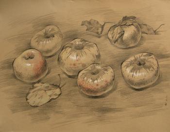 ������� ������ ��������