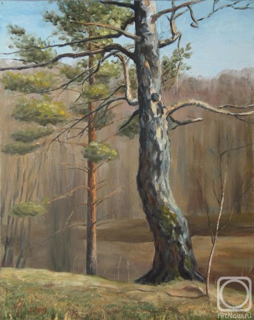 ������� ������ �� ������. �������� �����. ��������� ���������