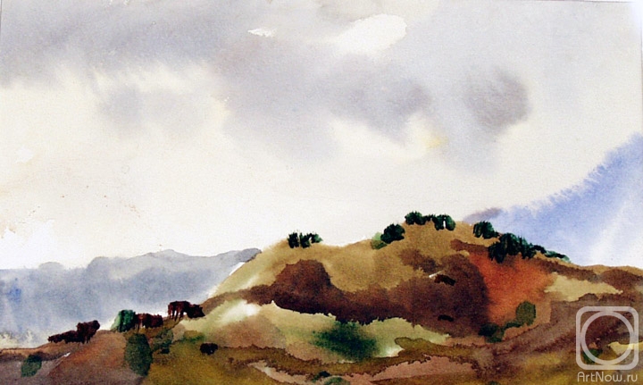 �������. ����������� ����. �������� ��������� - 13/80