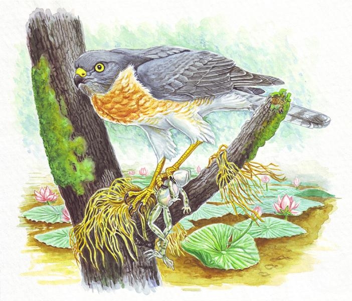 Fomin Nikolay. l'Asiate n francaises meurs