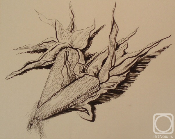 �������. �������� ������. 341 (���������� �������)