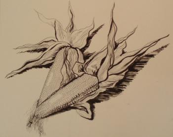 ������� �341 (���������� �������)�