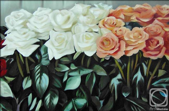 ������� ������ �� ������. ������ �������. ����