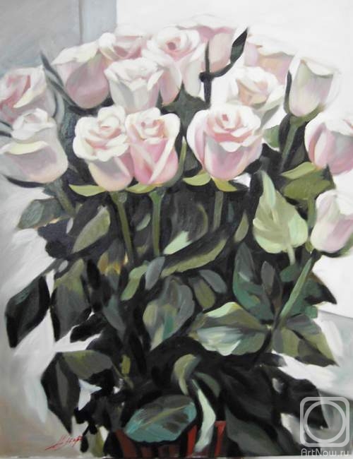 ������� ������ �� ������. ������ �������. ���� ���������