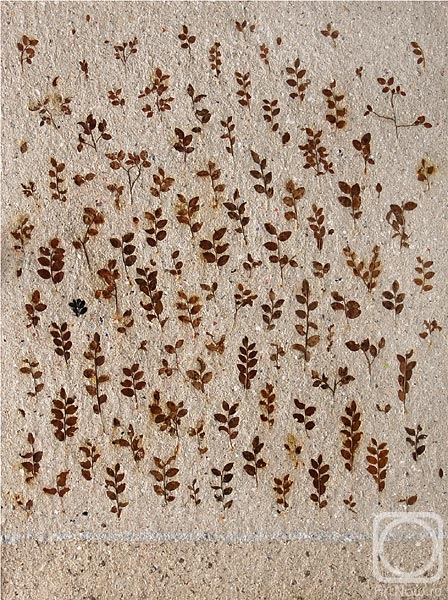 Dedushev Alexander. Herbarium-01