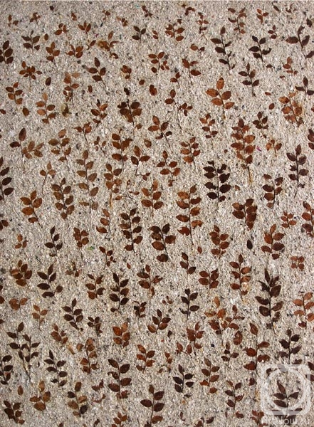 ������� ���������. Herbarium-02