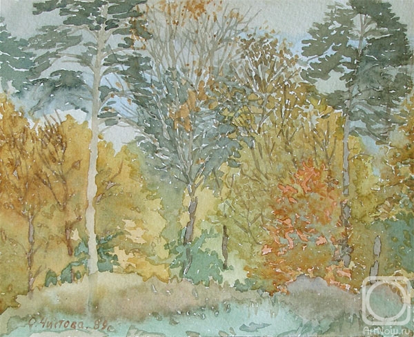 Chistova Olga. Untitled