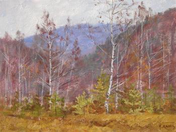 ������� �������� ������