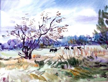 �ollection - �Graphics � 6� - 20/84