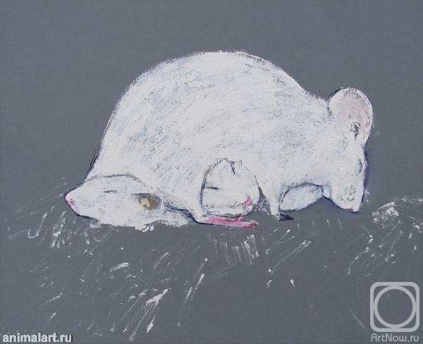 Voronova Oksana. Sleeping mouse
