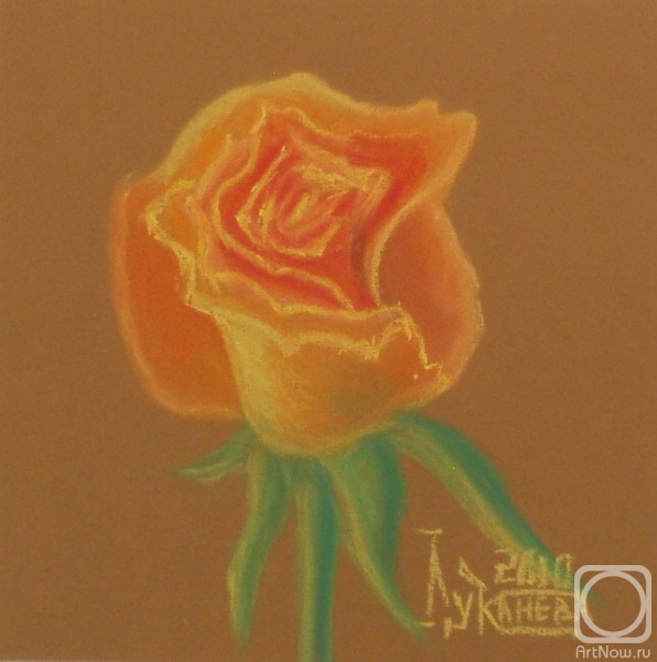 �������. �������� ������. Ƹ���� ���� (6)