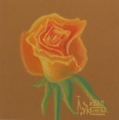 Yellow Rose (6). Lukaneva Larissa