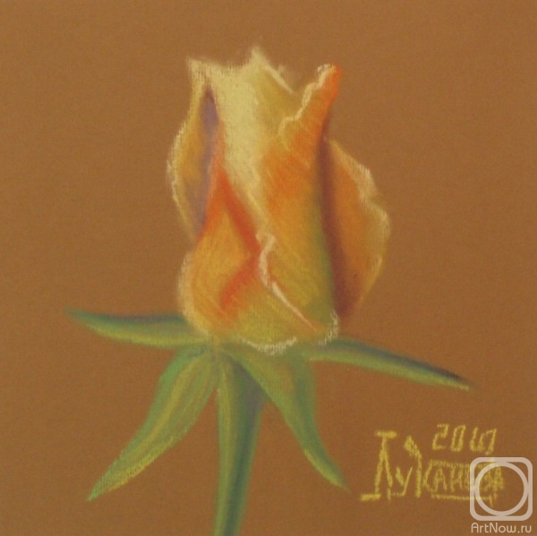 �������. �������� ������. Ƹ���� ���� (7)