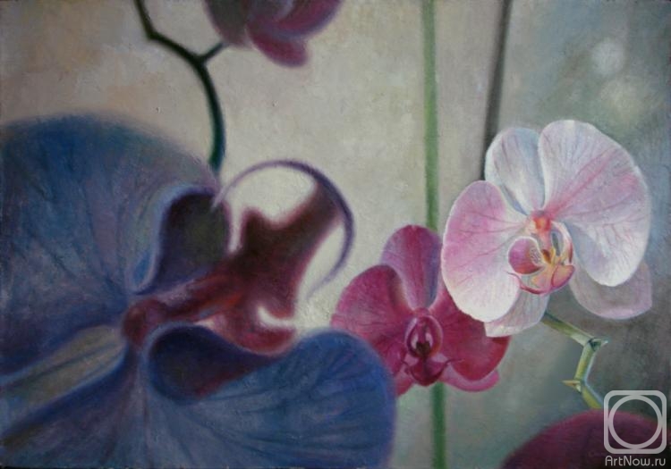 Simonov Aleksei. orchid