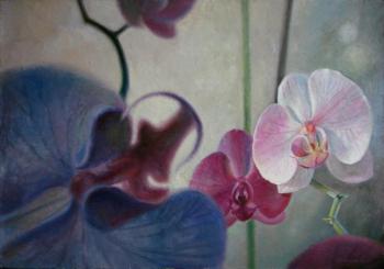 orchid. Simonov Aleksei
