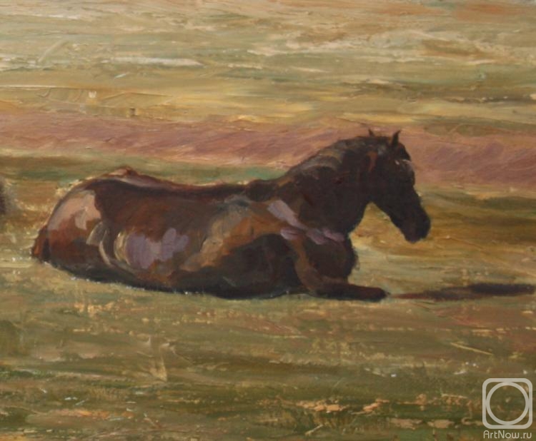 ������� ������ �� ������. �������� �����. 2 ������, ��������