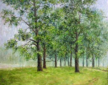 Rain in oak-grove. Konturiev Vaycheslav