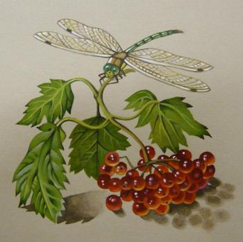 Kalinka and dragonfly. Belova Asya