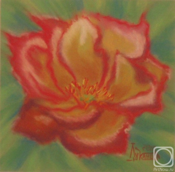 �������. �������� ������. ����������