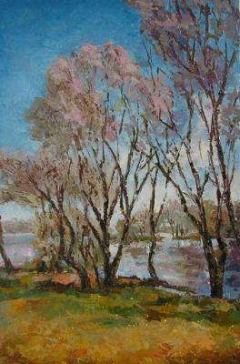 ������� ���� ���������