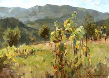 Mountain Bulgaria. Fall sunflowers. Galimov Azat