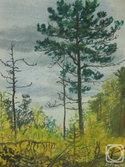 �������. ���������� �������. ������ ����