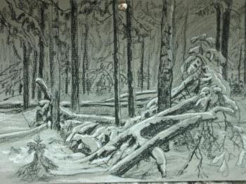 In winter in the forest (). Mihajljukov Nikolay