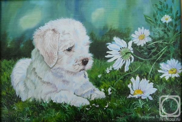 ������� ������ �� ������. ������� �����. ���������� ����������