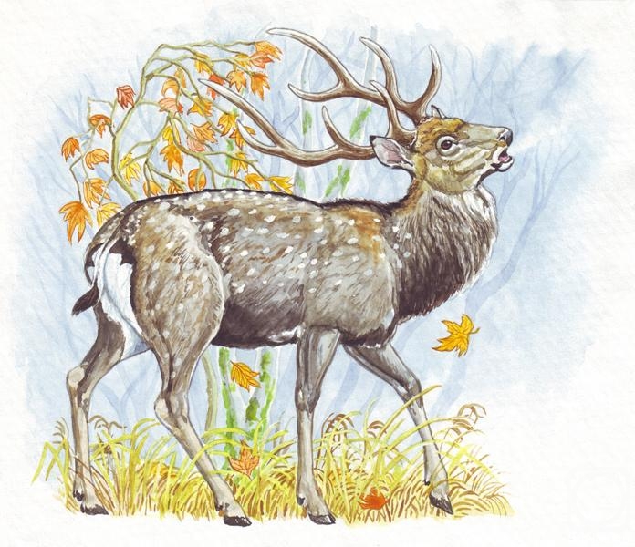 �������. ����� �������. ������������ ������