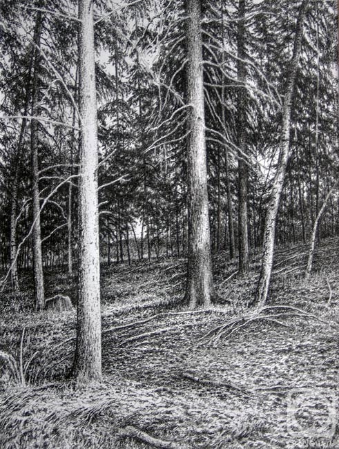 �������. ��������� �������. ���