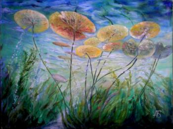 ������� ��������� ��� �����