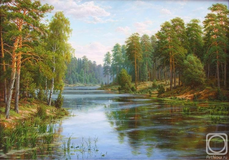 Davutov ilfat. Pine trees by the lake