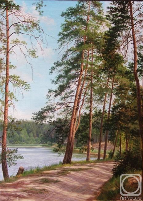 Davutov ilfat. Road along the lake