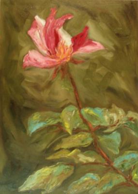 ������� �349 (����)�